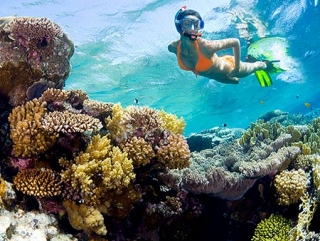 Snorkel en el mar